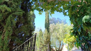 Jardín
